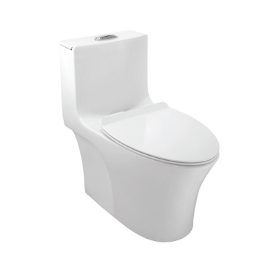 Picture of WC monobloc sans bride