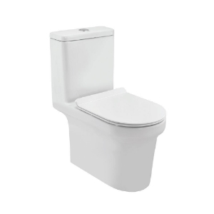 Picture of WC monobloc