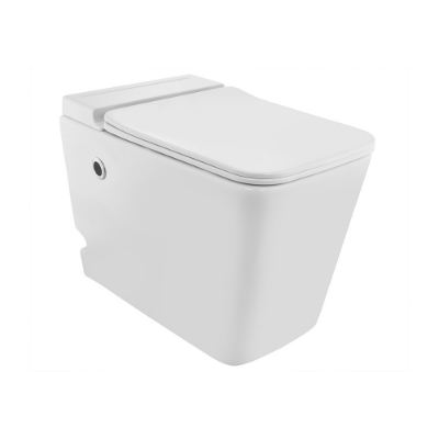 Picture of WC monobloc sans réservoir