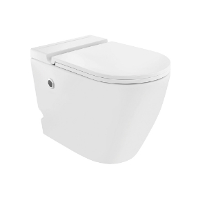 Picture of WC monobloc sans réservoir