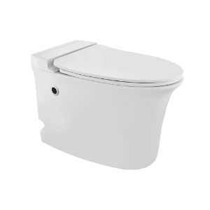 Picture of WC monobloc sans réservoir