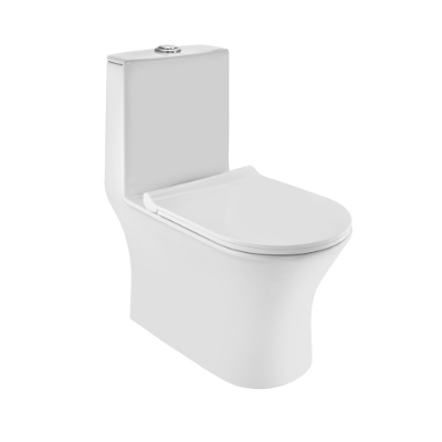 Picture of WC monobloc sans bride