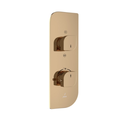 Picture of Aquamax Thermostatic Shower Mixer - Auric Gold