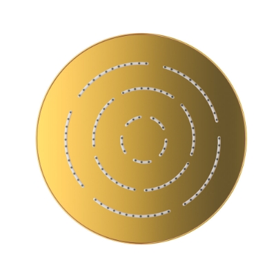 Picture of Douche de tête MAZE de forme ronde à fonction unique - PVD doré brillant
