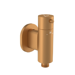 Picture of Exposed Part Kit of In-wall Thermostatic Valve - Gold Matt PVD 