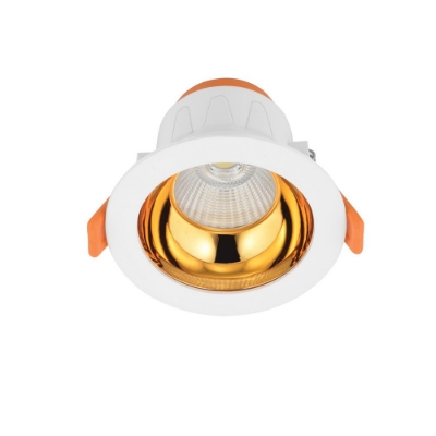 الصورة: ألينا مزود بشريحة إلكترونية