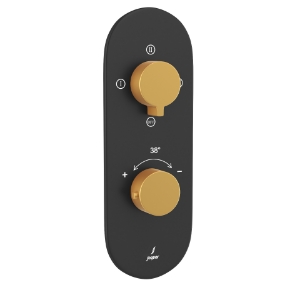 Picture of Aquamax Thermostatic Shower Mixer - Lever: Gold Matt PVD | Body: Black Matt