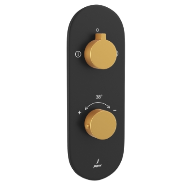 Picture of Aquamax Thermostatic Shower Mixer - Lever: Gold Matt PVD | Body: Black Matt