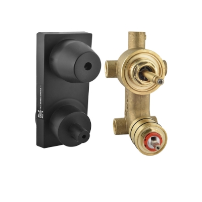 الصورة: Aquamax In-wall Body of Single Lever Shower Mixer