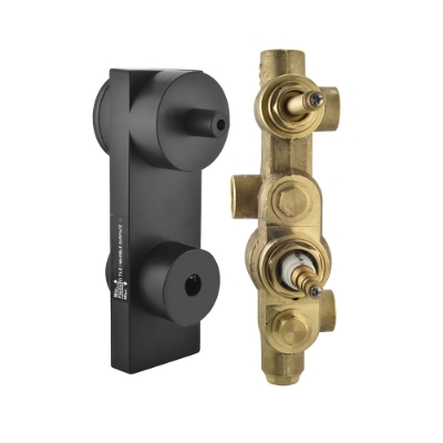 Picture of Aquamax In-wall Body of Thermostatic Shower Mixer