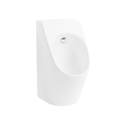 الصورة: مبولة