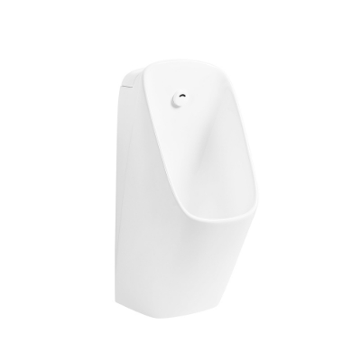 الصورة: مبولة