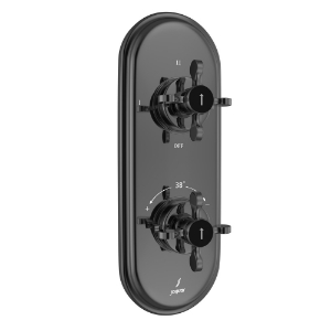 Picture of Aquamax Thermostatic Shower Mixer - Black Chrome