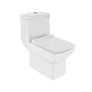 الصورة: مرحاض من قطعة واحدة