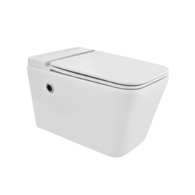 الصورة: مرحاض معلق