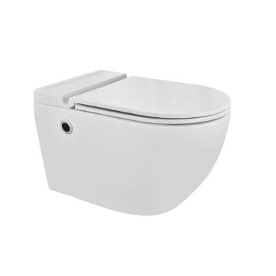 Picture of WC dos au mur sans bride