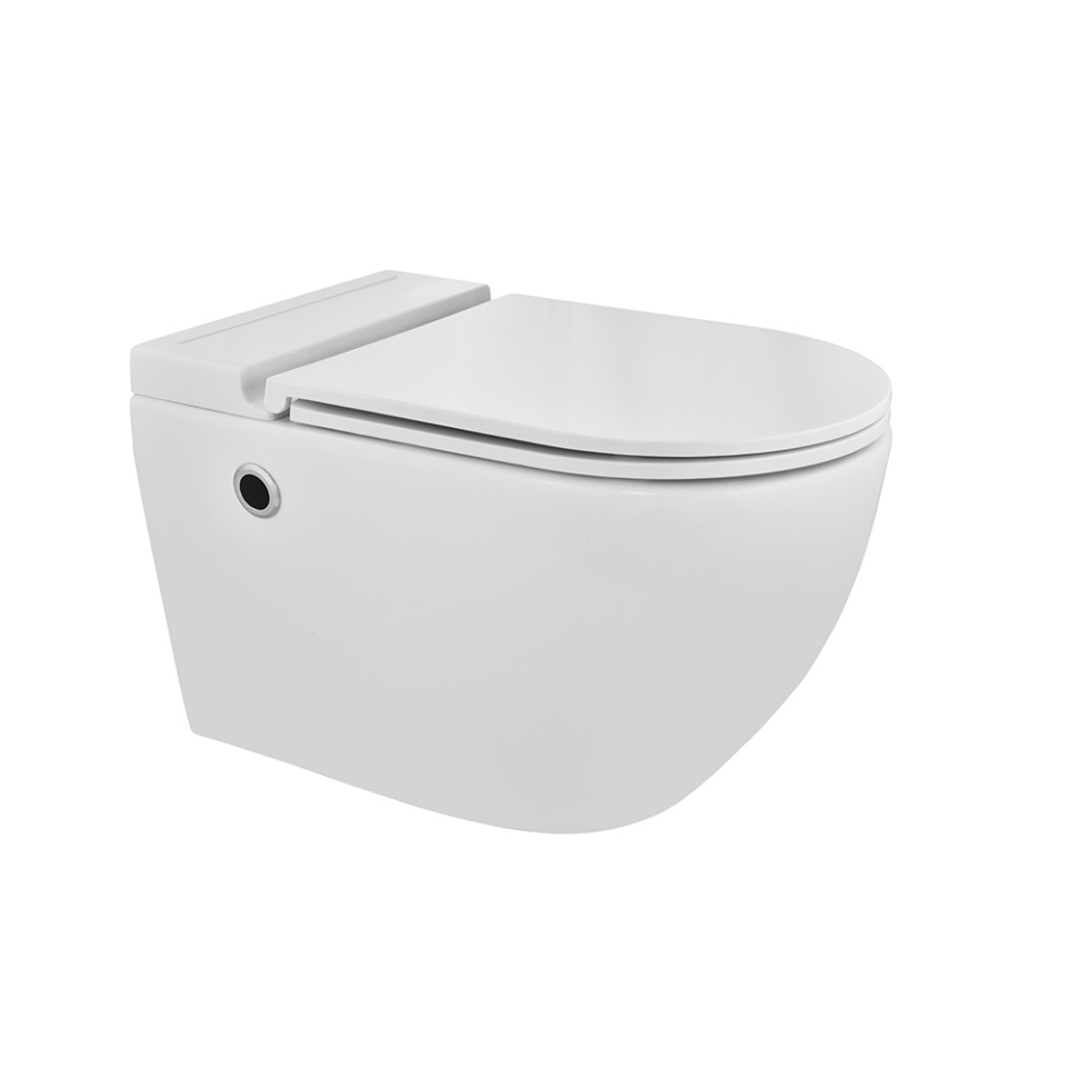 صورة مرحاض بدون حافة مركّب على الحائط