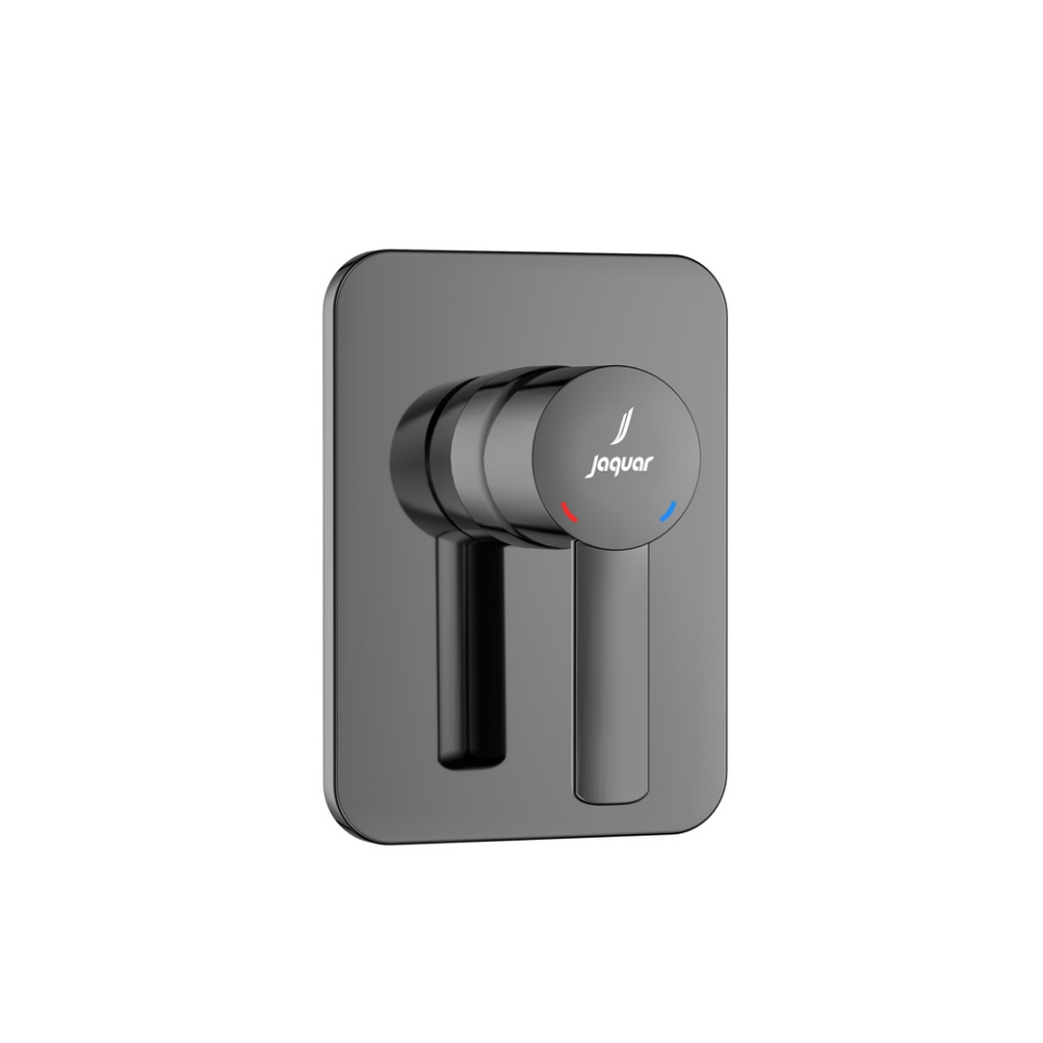 صورة Exposed Part Kit of Single Lever In-wall Manual Valve - Black Chrome