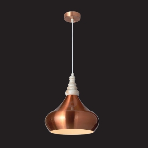 Picture of 1 Light Pendant Light
