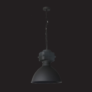Picture of 1 LT industrial style  Pendant
